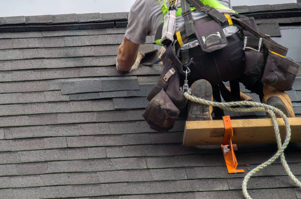 Professional Roofing Services in Meadowbrook, VA