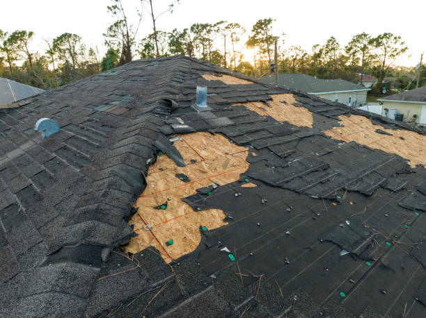 Best Slate Roofing  in Meadowbrook, VA