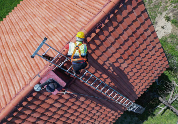 Best Solar Panel Roofing Installation  in Meadowbrook, VA
